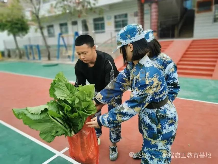 青少年心理疗愈：军事化管理学校的作用与挑战